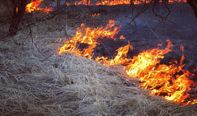 Жителей Старицкого района предупреждают о высокой пожарной опасности