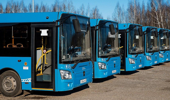 Пять автобусов в Твери изменят схему движения