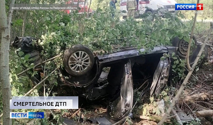 Происшествия в Тверской области 22 августа | Видео