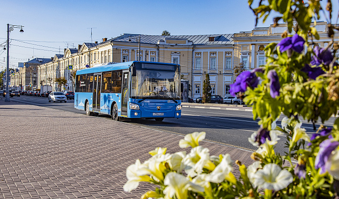 В Тверской области в общественном транспорте за полгода совершили около 41 млн поездок