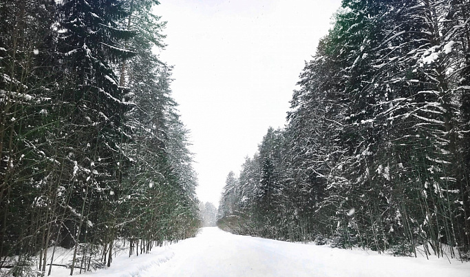 Дороги до сельских школ в Тверской области плохо чистили от снега