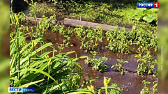 Из-за изношенного трубопровода вода затапливает участки и подвалы домов жителей в микрорайоне «Юность» в Твери