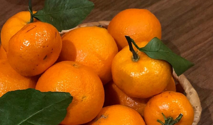 В Твери в апельсинах и мандаринах из Турции нашли щитовку