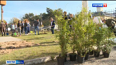 Представители кадастровой палаты совместно со студентами высадили деревья у общежития в Твери             