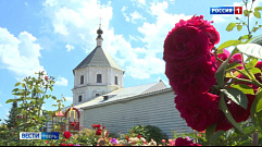 Во дворике Покровской церкви Твери благоухает сад с розами