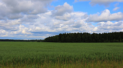 В Тверской области утвердили границы 8 особо охраняемых природных территорий
