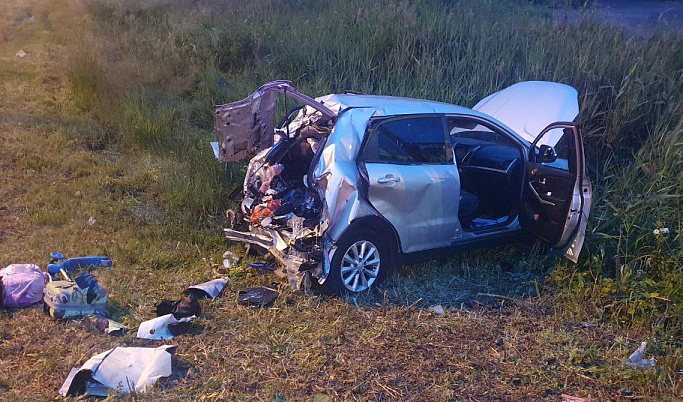 В серьезном ДТП на М-10 в Тверской области пострадали три пассажира иномарки