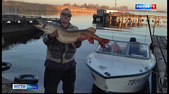 В Тверской области рыбак поймал 10-килограммовую щуку 