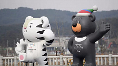 Состав российской делегации на Олимпиаду-2018 будет объявлен до 28 января