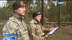 В Тверской области приступили к обследованию лесных массивов