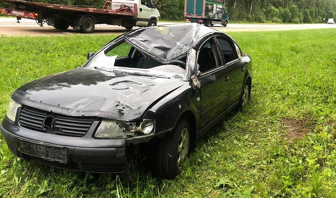 В Тверской области водитель пострадал в ДТП с лосем