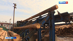 Крупные инвестпроекты в сфере деревообработки реализуют в Тверской области