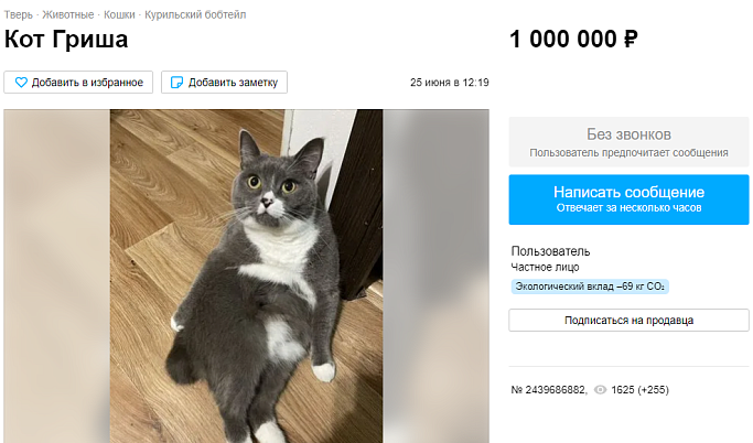 Житель Твери надеется продать кота Гришу за 1 млн рублей