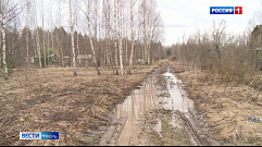 Первый крупный пал травы зафиксировали в Тверской области