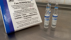 Шесть месяцев тюрьмы грозит жительнице Тверской области за поддельную вакцинацию