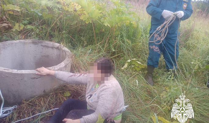 Сходила за яблоками: в Тверской области женщина упала в 13-метровый колодец