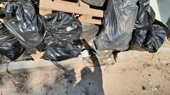 В Твери на субботниках за месяц собрали 1460 кубометров мусора