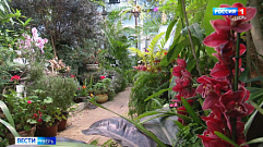 В Ботаническом саду ТвГУ готовят к открытию выставку «Тропический коктейль»