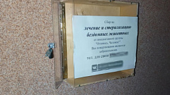 В Тверской области из здания судебных приставов украли деньги для бездомных животных