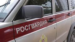 За неделю в Тверской области экипажи Росгвардии 267 раз выезжали по «тревоге»