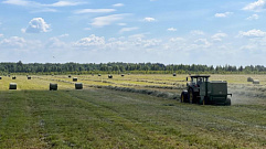 Аграрии Тверской области наращивают показатели уборочной кампании