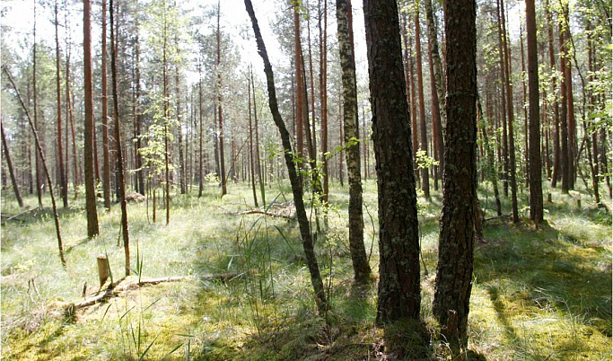 В Тверской области утверждены границы 5 особо охраняемых природных территорий