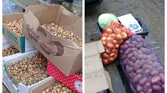 На рынке в Весьегонске с нарушениями торговали картофелем и луком