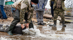 Более 8000 молодняка черного амура выпустили в озера-охладители Калининской АЭС