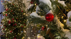 Как в Твери избавиться от новогодней елки с пользой                                                          