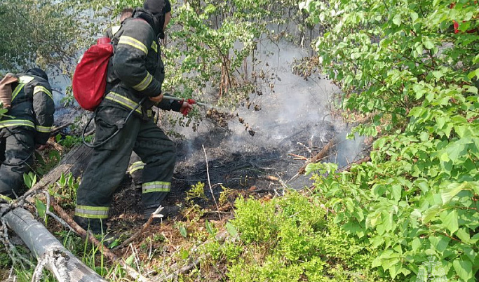 Пожарные локализовали возгорание лесной подстилки в Осташковском округе