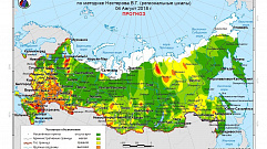 В Тверской области прогнозируют средний и высокий уровни пожарной опасности