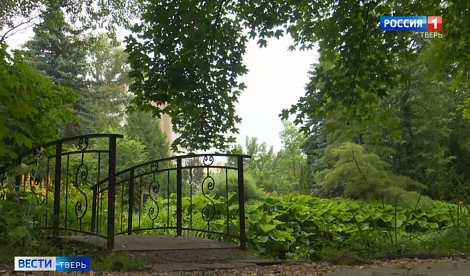 Ботанический Сад ТвГУ приглашает на квест-тропу «Дорога тысячи лепестков»