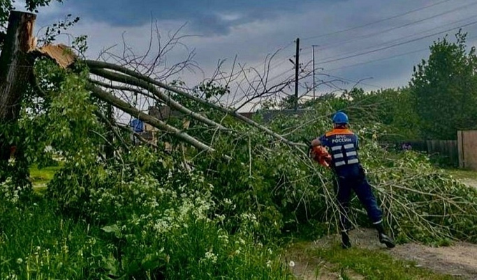 В Тверской области сотрудники МЧС убрали поваленные из-за непогоды деревья
