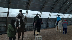 Волонтеры Тверской области обучаются езде на лошадях