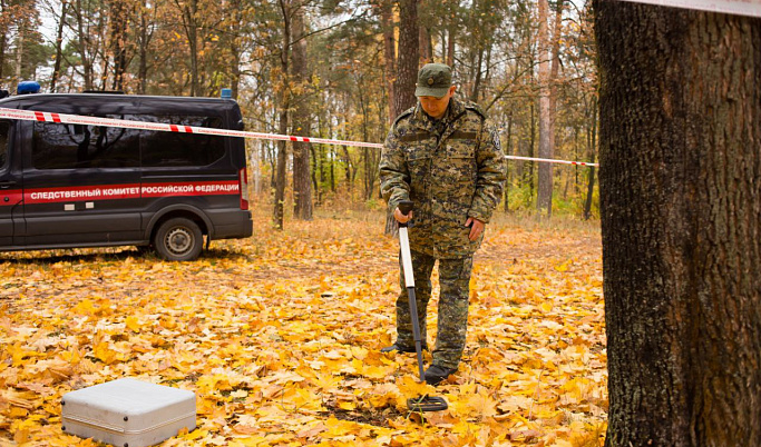 В Тверской области в лесу нашли человеческие останки 