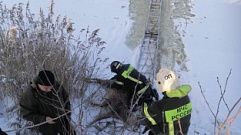 В Тверской области сотрудники МЧС спасли провалившегося под лед оленя