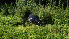 Мотоциклист не справился с управлением и вылетел в кювет в Тверской области
