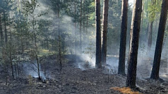 Особый противопожарный режим ввели в 35 муниципалитетах Тверской области