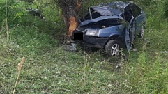 В Тверской области автомобиль протаранил дерево в кювете, один человек погиб 
