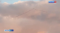 Два клина журавлей заметили в небе над Лихославльским районом