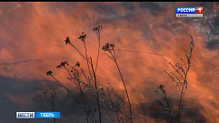  В Твери пожарные ликвидировали возгорание сухой травы возле Восточного моста