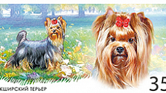 В Твери появились марки с изображением декоративных пород собак