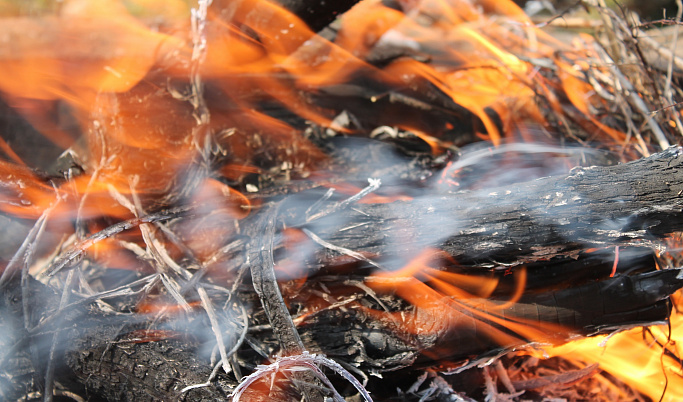За 2019 год в Кимрском районе произошло 258 пожаров