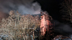 При пожаре в Тверской области погибли три человека 