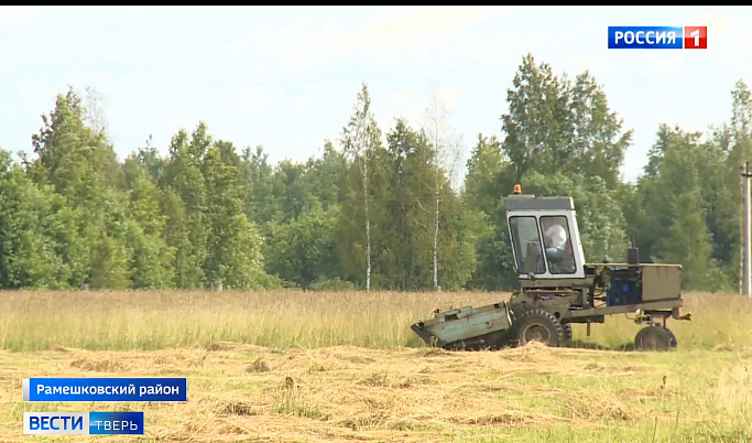 Аграрии Тверской области возвращают в оборот заброшенные поля    