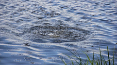 В Осташковском округе на озере Сабро утонул человек