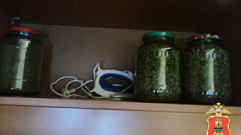 Житель Кимр вместо овощей закатал в банки марихуану