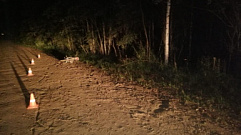 17-летний подросток на мотоцикле сбил 15-летнюю девочку в Тверской области