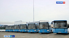 Год назад на дороги Твери выехали первые автобусы «Транспорта Верхневолжья»