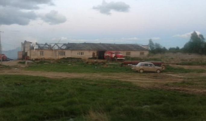 25 коров и 28 телят погибли в пожаре в Тверской области 